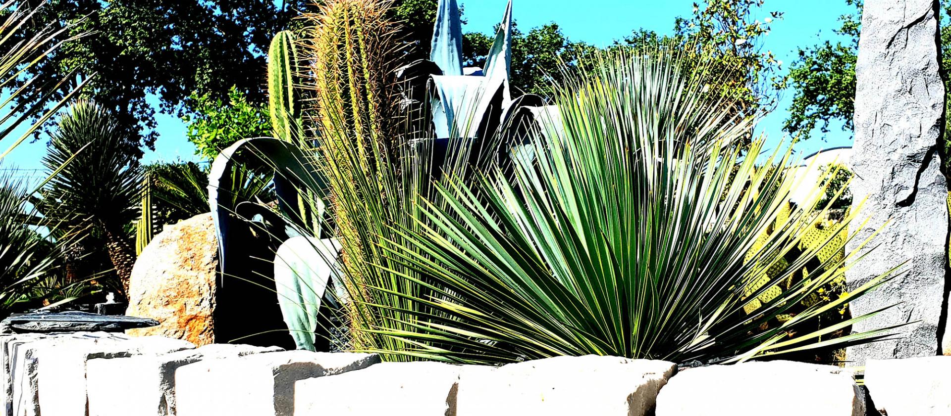 Jardinier paysagiste Béziers
